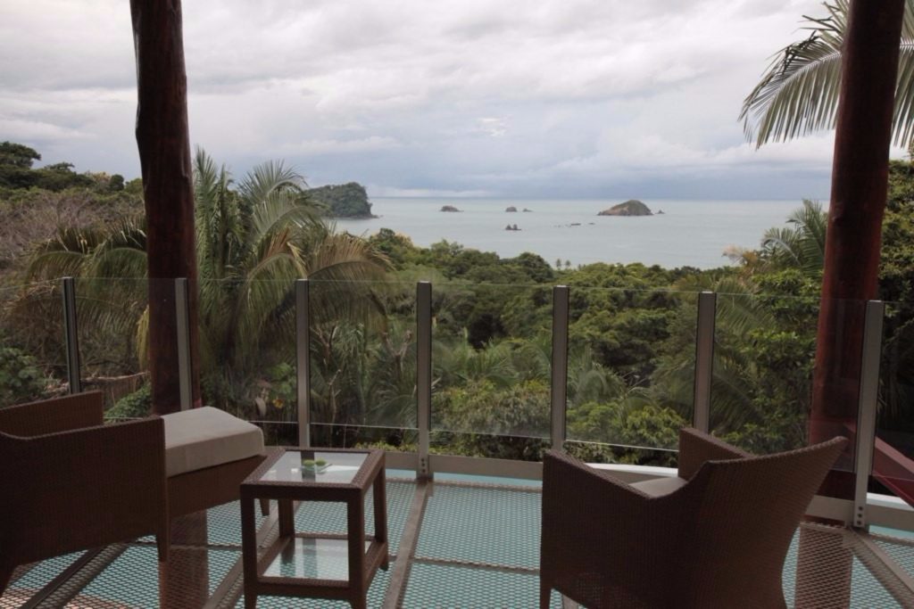 Sit back in the easy chairs and view wildlife springing about and swooping through the rainforest. 