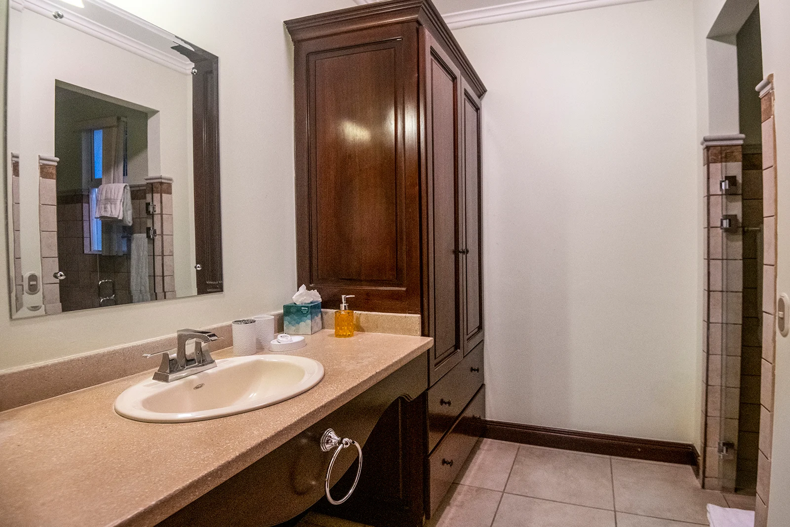 Ensuite bathroom with vanity counter, built-in cabinetry, and walk-in shower.