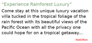Oceanfront Jungle Escape - Dominical - Costa Rica