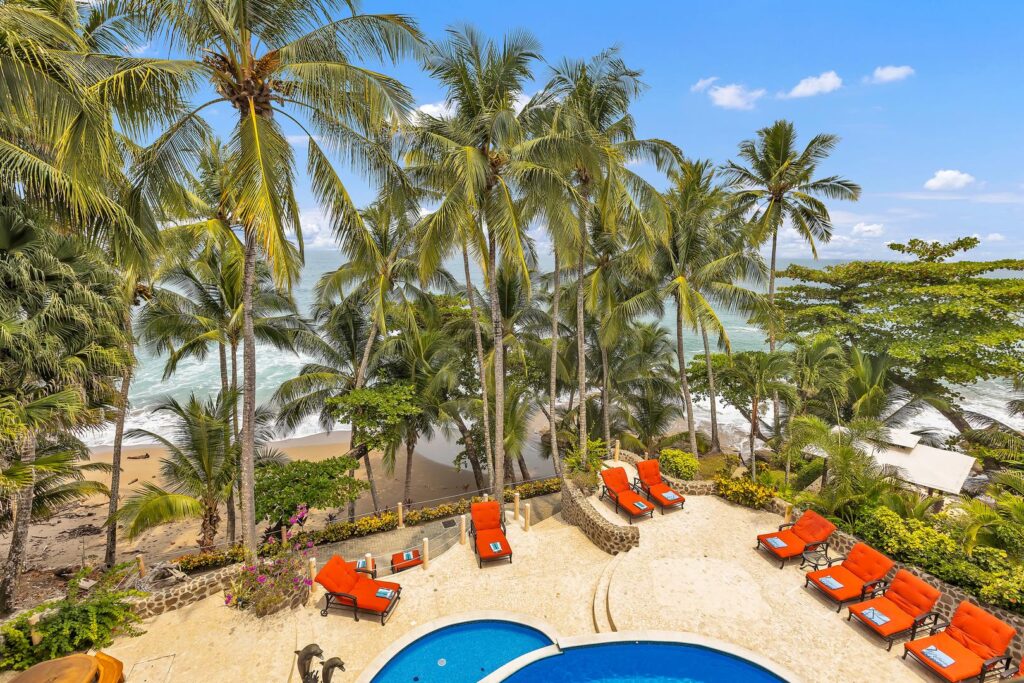 Panoramic ocean views with palm trees and sunny poolside seating.
