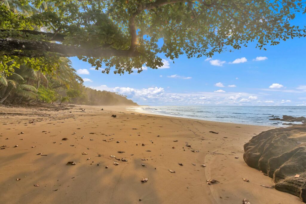 A calm, quiet shoreline perfect for morning walks and relaxed moments by the ocean.