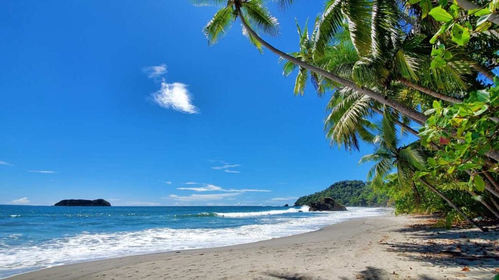 Palm-lined beach with white sand and the Pacific Ocean in Manuel Antonio, Costa Rica.