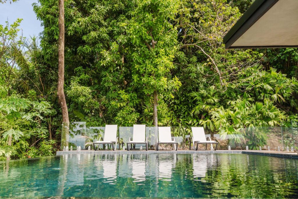At the edge of the jungle, the pool mirrors the surrounding green in complete stillness.
