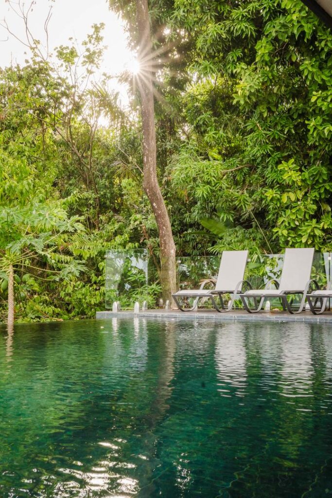 Morning light moves through the trees, settling softly beside the pool.