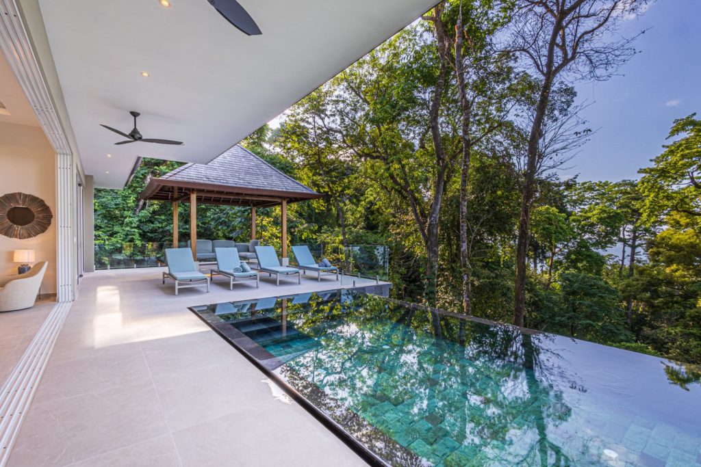 rainforest-surrounds-luxurious-infinity-pool