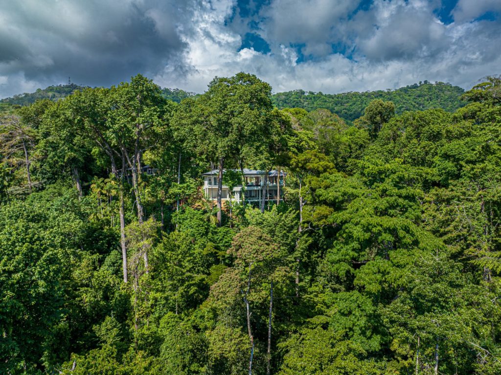 Spend your vacation tucked away in the lush rainforest. The animals that inhabit it will be your only neighbors.