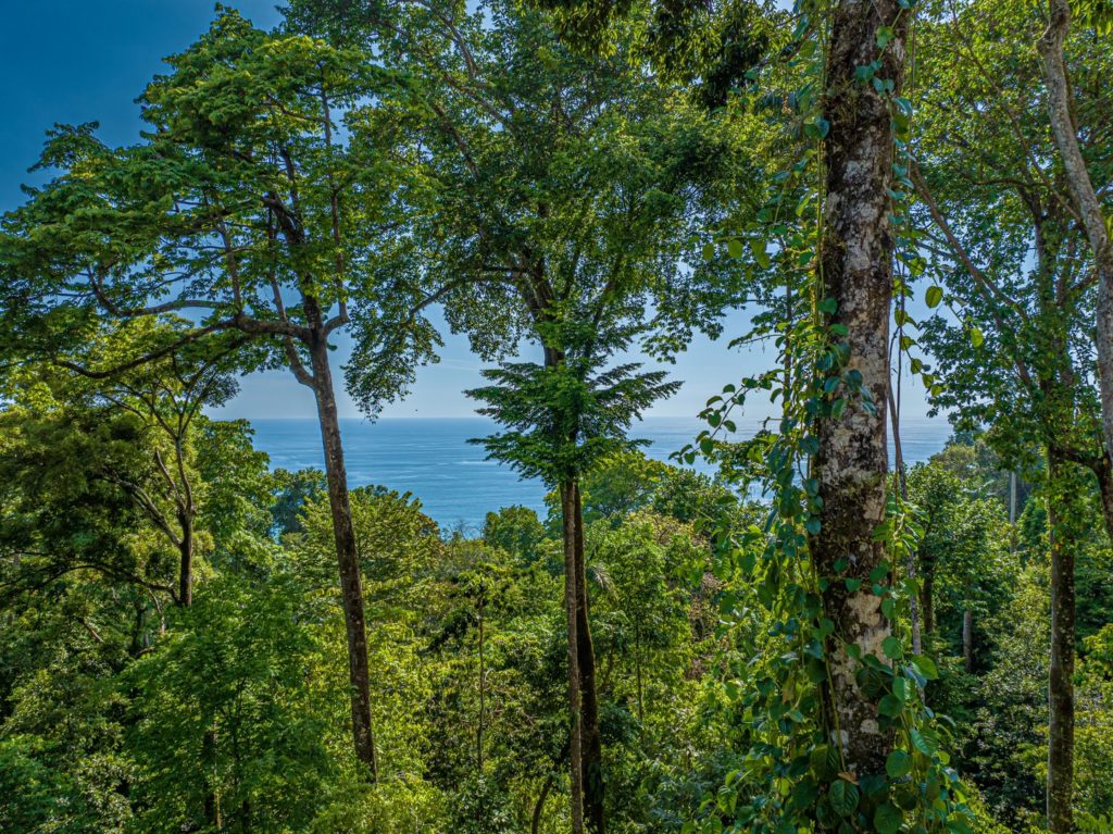 Jungle surrounds the villa with breathtaking ocean backdrops.