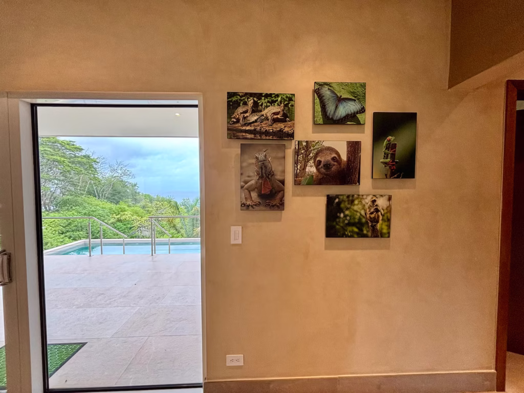 Costa Rican wildlife photography throughout the home celebrates the region's rich biodiversity and adds local character to the villa.